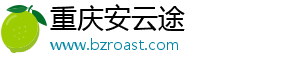 重庆安云途
