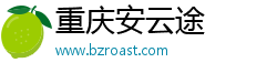 重庆安云途
